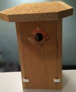 Brown-headed Nuthatch Nest Box